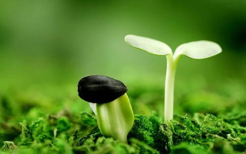 美好与创意的相遇,思维与智慧的碰撞 经小教师思维导图大展示 一