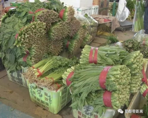 国庆期间每天1800吨蔬菜 满足市民假日生活需求